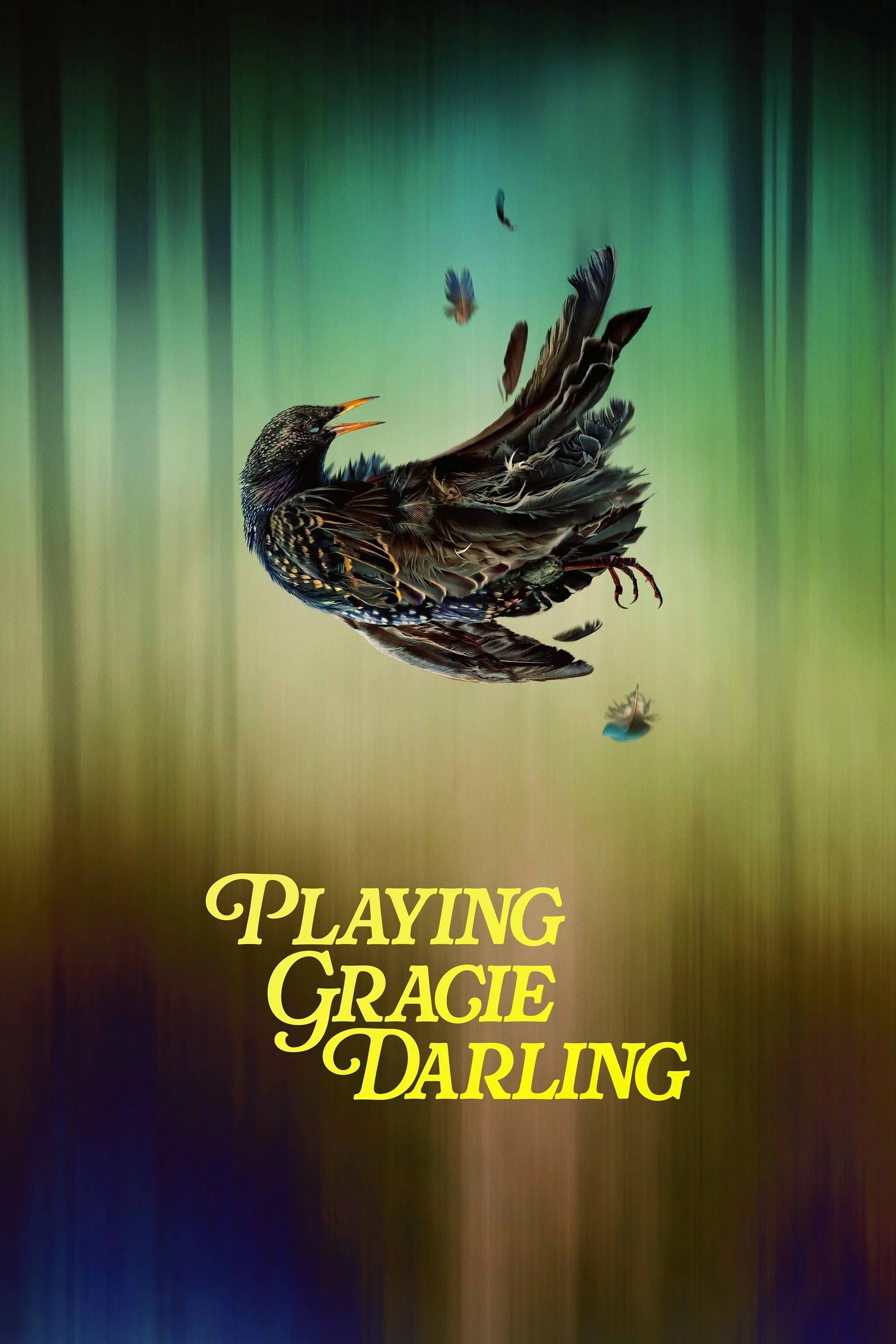 Playing Gracie Darling (2025 TV Series)